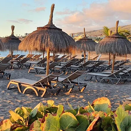 Ocean View Appartement